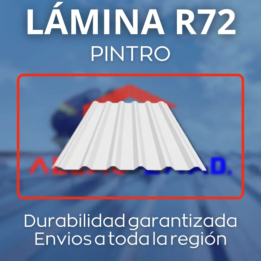 Lámina Pintro R72