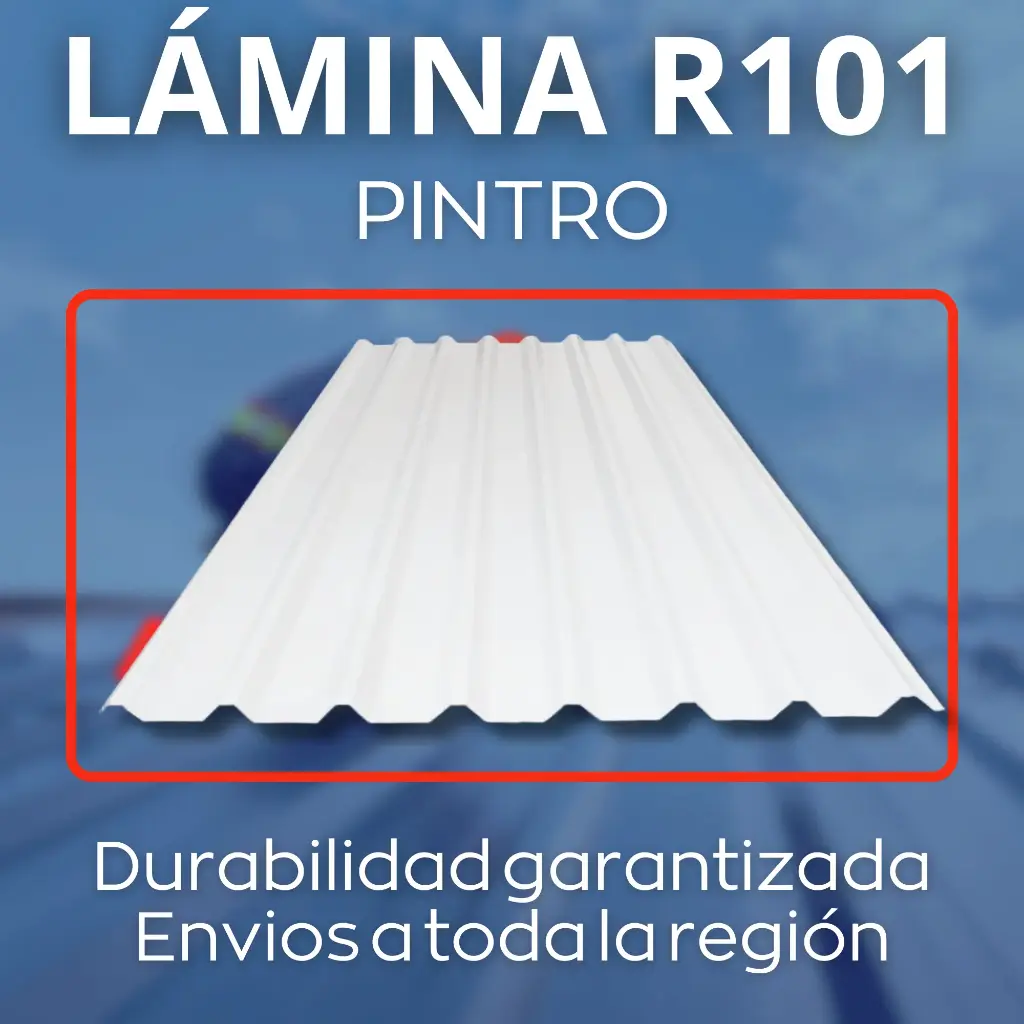 Lámina Pintro R101