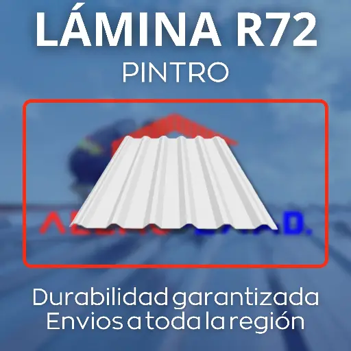 Lámina Pintro R72