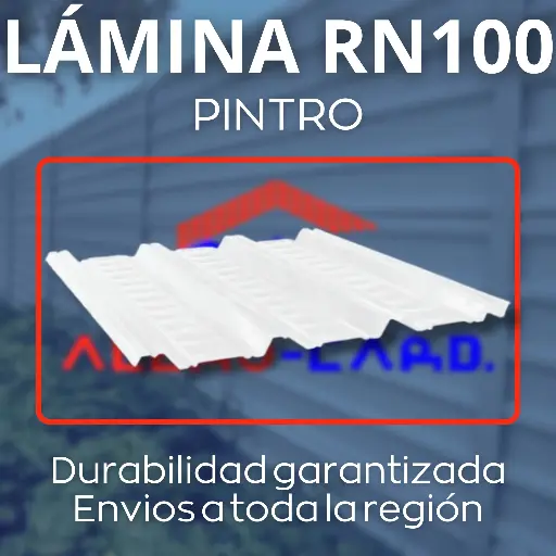 Lámina Pintro RN100