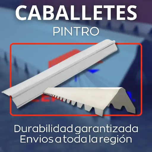 Caballete Pintro