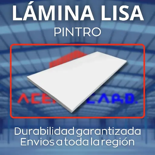 Lámina Lisa Pintro