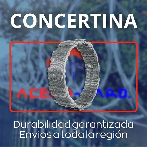 Concertina